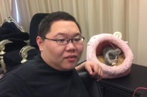 Ů�����ƻ�ӦPDD���������ԣ���ֱ��