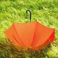 真人秀:魏大勋自曝囧事,还不忘黑王嘉尔也是够