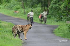 ��·�֡���·���� �Ż���·����