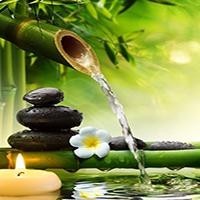 临沧方言配音搞笑 猪头肉炒面, 可是猪头肉呢