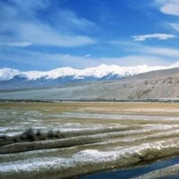 看看王思聪公司培养出来的女艺人,黄子韬迫不