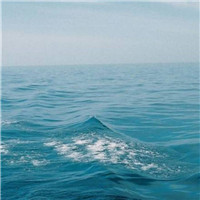 lpl四强战,IGvsJDG,IG获胜后,解说王多多张口就