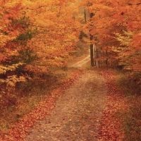 金志文用GIGI姐的歌表达从初恋到热恋到失恋的