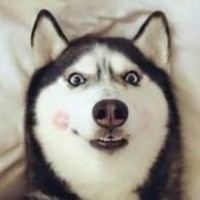 冯提莫,虎二,M哥同框唱《一百万个可能》,每个