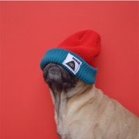 可爱韩国女团舞蹈