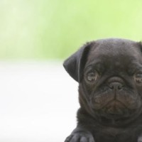 创造101主题曲主歌部分教学 舞蹈教学 镜面版