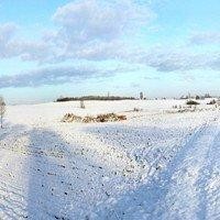 王者荣耀搞笑小动画:天界女娲大战植物僵尸