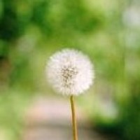 妈妈咪呀:德国妈妈讲述异国恋失败,仍想成为中