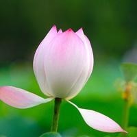 歌曲《十跪爹娘》太好听了,送给天下孝子和父母