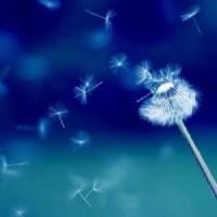 王者荣耀AG超会玩梦泪成名之战,纪念曾经的A