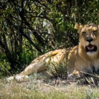 咱们结婚吧:邓佳佳居然玩起了这一手,偷偷记下