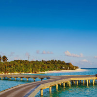 不离婚玉莹就会因重婚罪坐牢,为了玉莹,王良无