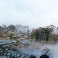 涟漪王者荣耀还怕玩不好赔钱虎?熊哥实战教你