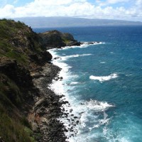 小本解说 恐龙神奇宝贝p1三角龙宝宝