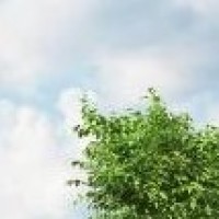 朴灿烈的鞋子被粉丝踩坏了,他还看了看自己坏