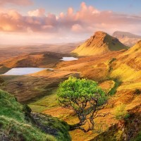 迷你君解说:我的世界 火柴人VS恐怖奶奶 谁会