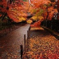 村里最穷的一户人家,大儿子娶的媳妇大方漂亮