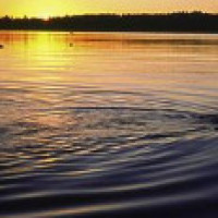 小视频,搞笑大诗人,神来之作《卧梅诗》