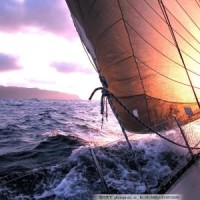 一半以上男生都不知道的服从性测试, 你学会了