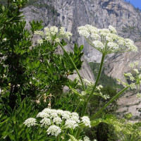 俾鬼捉:王晶处处不顺