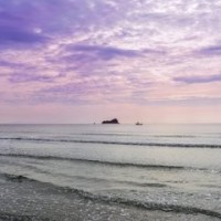 《僵尸叔叔》粤语版,陈友外出赶尸,巧遇狐狸精