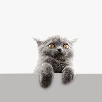 朴灿烈姐姐结婚,现场唱了一首祝福歌,当镜头转