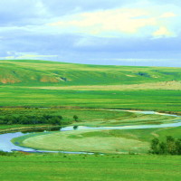 女特务用酷刑折磨犯人,不但拔指甲,还用犯人的