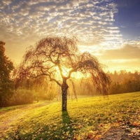 我们来了未播花絮 女神KTV谢娜带偏江一燕