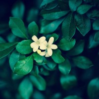 金鹰节颁奖典礼上赵丽颖虽然没拿奖 却收获了