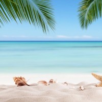 小伙问老婆要嫁妆钱,老婆不乐意,当知道原因后