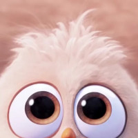 坐在郭襄前面一桌吃饭的人不是金轮吗?还主动