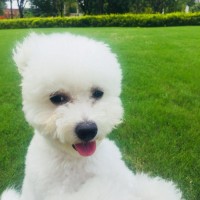 自制小清新学生笔袋文具盒,好看到少女心爆棚