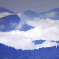 应嘉俐 那又如何