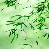 可爱舞蹈《东西》嘻嘻,一首好温暖的歌哦