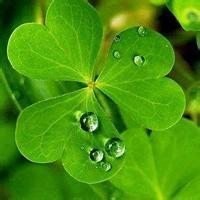 《笑傲江湖》这首老歌太经典了,80后的最爱真