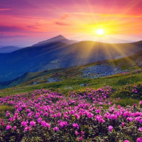 被嫌声音粗谢娜发文疑力挺周迅:很多女生不是