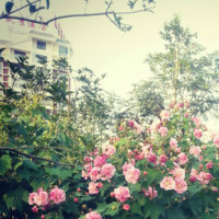 西游记女儿国林志玲演的水妖是真的妖,天蓬元