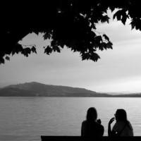 创意早教3D拼图大公鸡+母鸡亲子早教婴幼儿视频