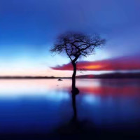 王者荣耀:还记得梦泪的成名之战吗?这就是他成