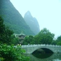 一条10厘米的小金龙鱼 精品金龙幼鱼, 直接上手