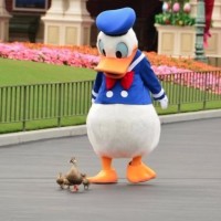 河南小伙解说菲律宾运动员跳水 - 腾讯视频