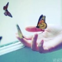 最好听的一首日本经典歌曲,谷村新司-风姿花传