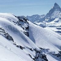 郭富城亲自传授:浪漫樱花舞蹈教学!