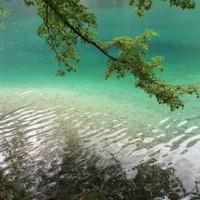 《下一站传奇》杨晗清灵嗓音唱响《能走多远》