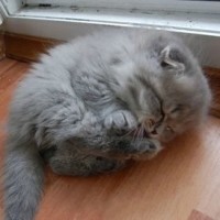 周润发陈百祥这部经典粤语电影,满满的都是儿