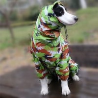 快闪活动中,小女孩的《歌唱祖国》神似当年林