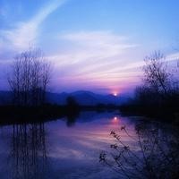 王祖蓝挑战蹦极运动,真的太勇敢了