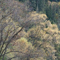 好友用过期化妆品过敏,女人:给我留着,我皮肤好