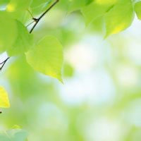 卡路里舞蹈教学