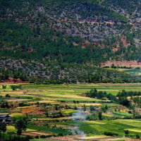 乌兰托娅的我在宁夏等你来一口气听了好多遍,